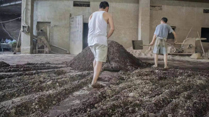 茅臺(tái)硅茅酒零售價(jià)與旅游開發(fā)項(xiàng)目策劃咨詢